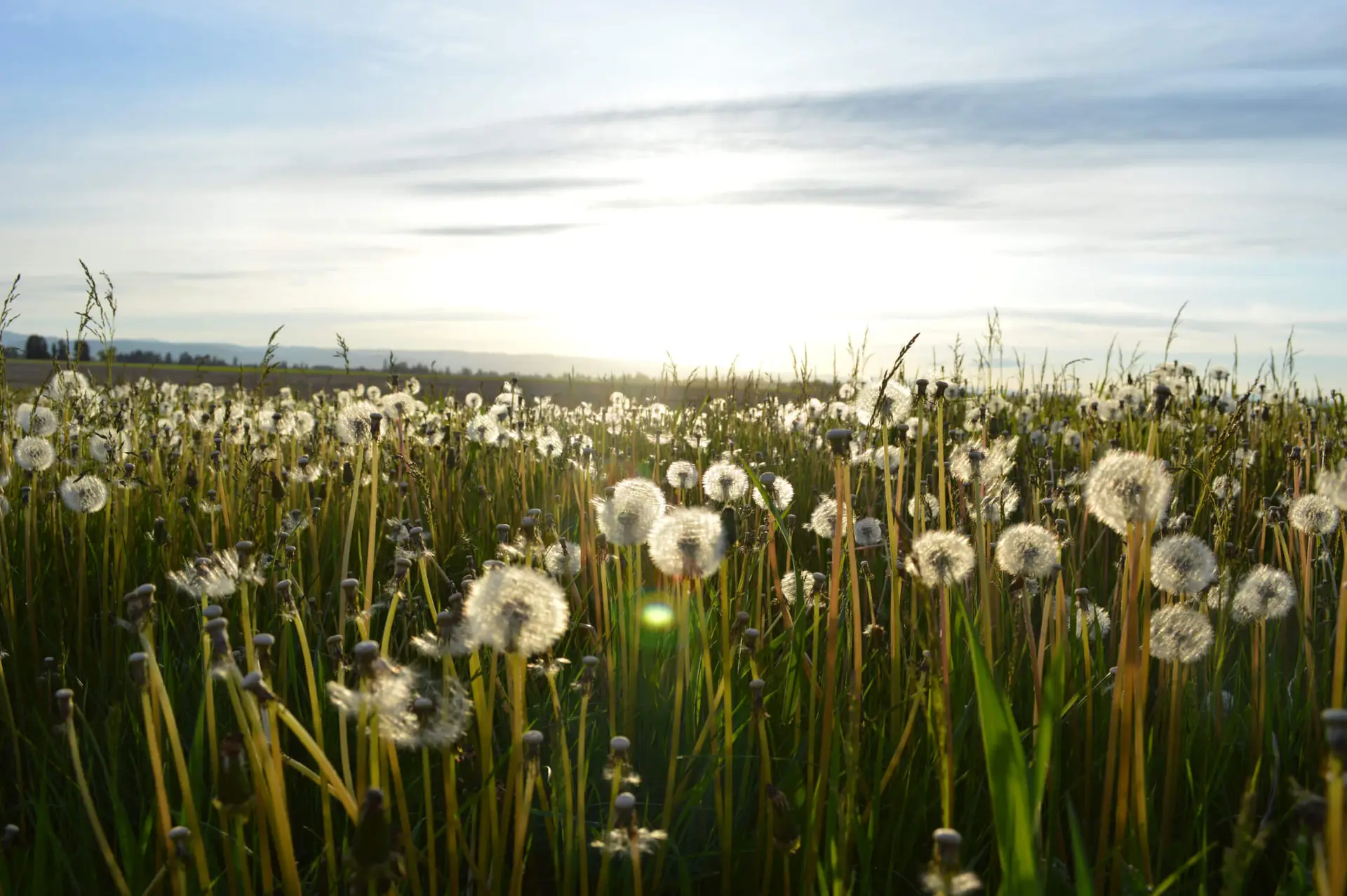 Photo by Jason Long on Unsplash